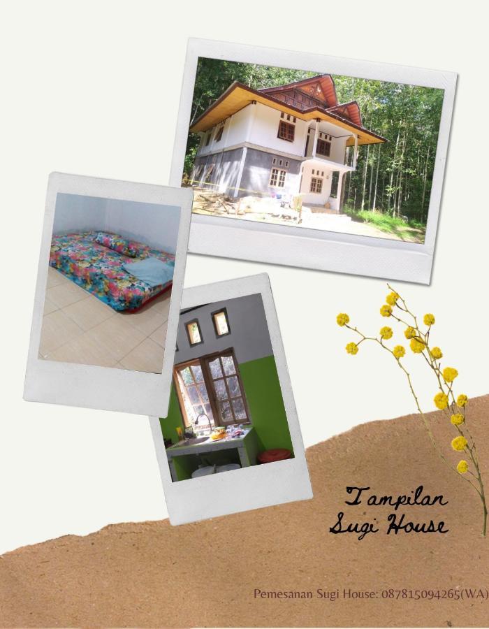 Sugi House Toraja - Villa Penginapan Sewa Harian Рантепао Екстер'єр фото