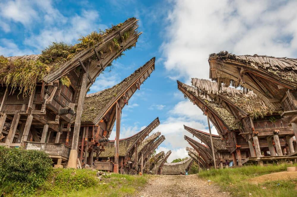 Sugi House Toraja - Villa Penginapan Sewa Harian Рантепао Екстер'єр фото